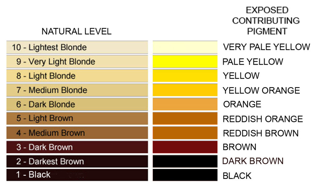 The Hair Colour Book 1